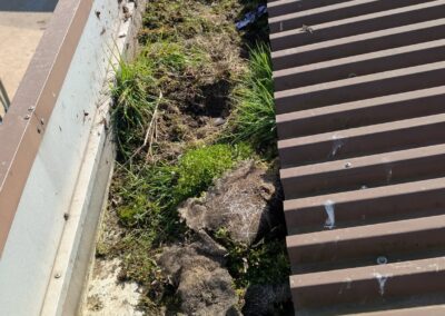 ts cladding facebook gallery 25(1)